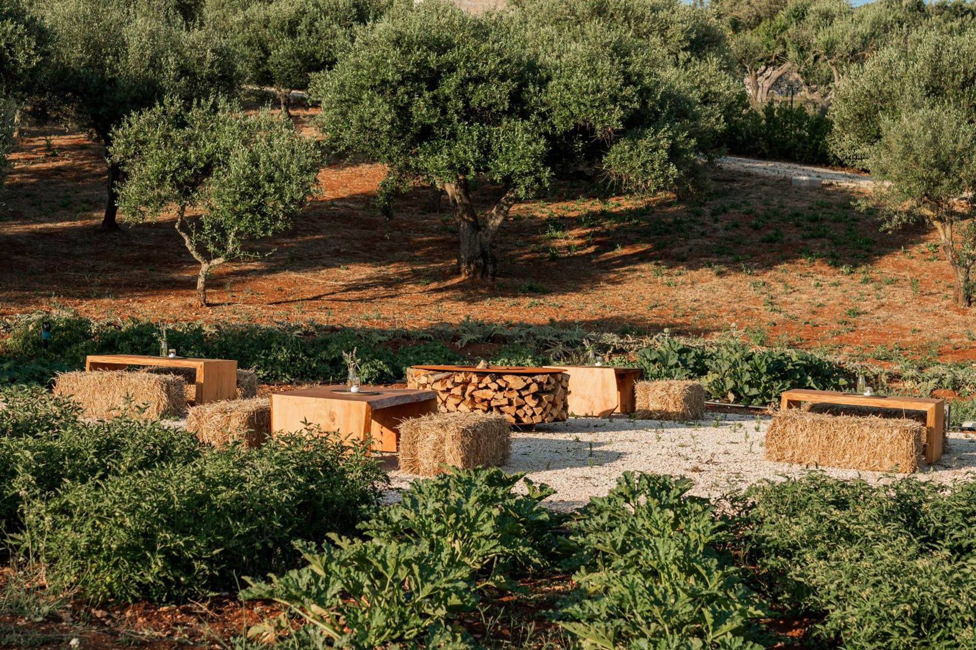 Bed and Breakfast Essenza Relais Contemporaneo Cisternino Esterno foto