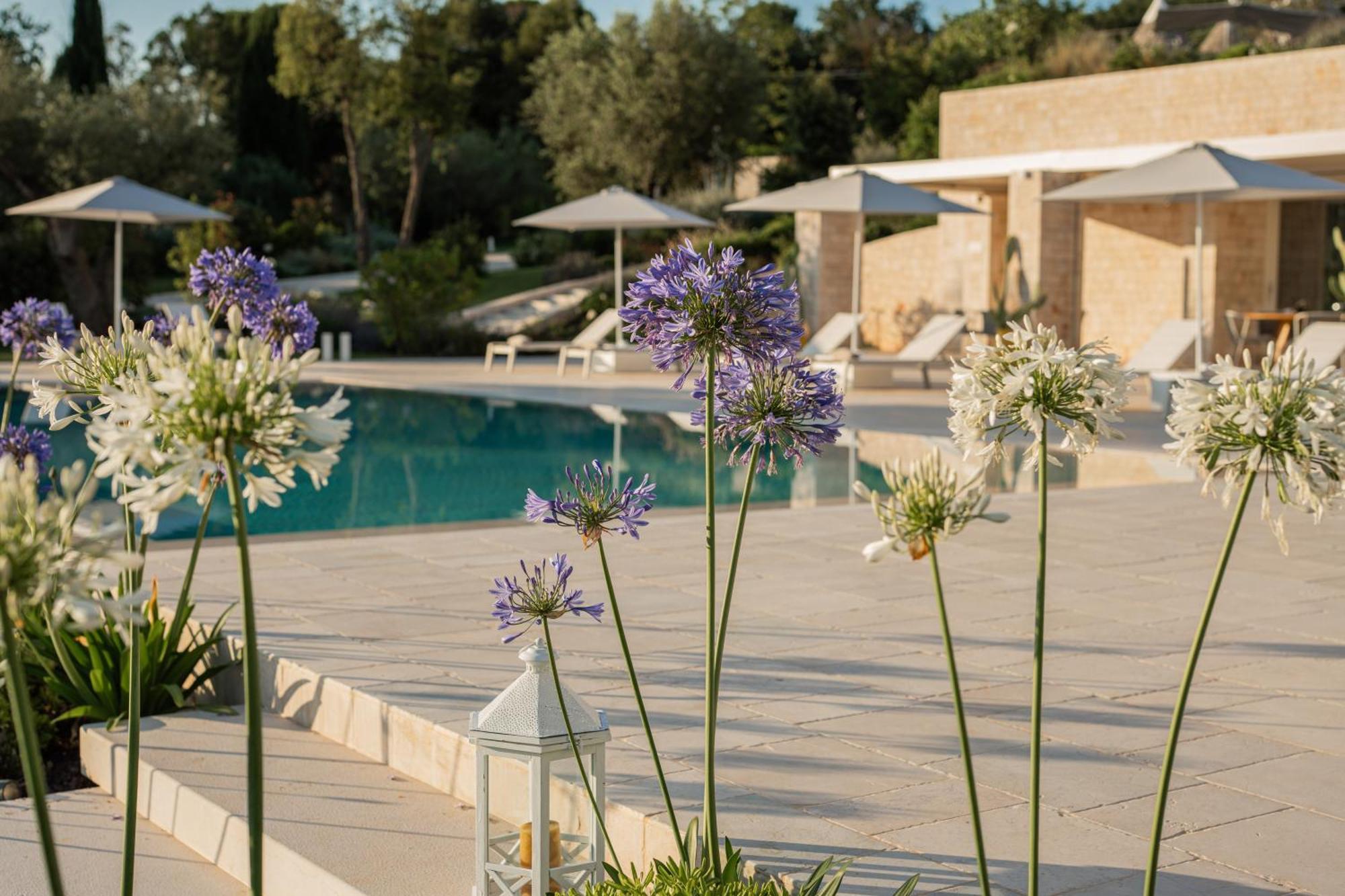 Bed and Breakfast Essenza Relais Contemporaneo Cisternino Esterno foto